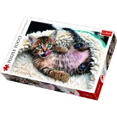 Trefl 1000 brik puslespil munter killing