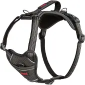 Company of animals Anatomy Harness - Grå - S
