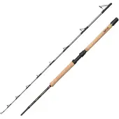 Penn Regiment Iv Pro Boat Spinnestang