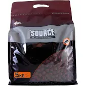 Dynamite Baits The Source Shelf Life 5kg Boilie