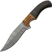 Damascus Eld Stag Hunter