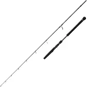 Savage Gear Defiance Sg2 Light Let Jiggingstang