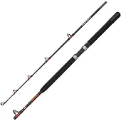 Penn Warfare Ii Boat Jigging Stang