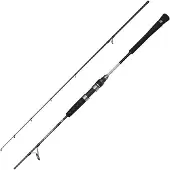 Penn Prevail Iii Jigging Stang