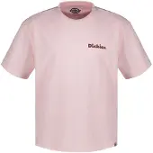 Dickies Slayden Gd T-shirt Med Korte ærmer