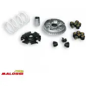 MALOSSI Multivar 2000 Piaggio Beverly 4t 200 Variatorkit