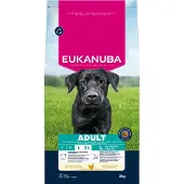 Eukanuba Adult Large kylling hundefoder