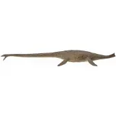 Collecta Deluxe Thalassomedon 1:40 Figur