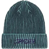 Spyder Logan Beanie