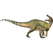 Papo 55101, 5,7 kg