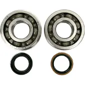 All Balls Alle kugler forhjulsbærende kit 25-1806