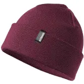 Atomic Alps Rolled Beanie