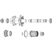 Zipp Zm2 Freehub-krop