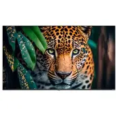 Newline Stv-4324p 43´´ 4k Lcd Skærm