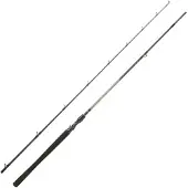 Daiwa Exceler Baitcastingstang 2 Sektioner