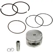 Hert Aprilia Leonardo Stempel
