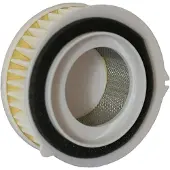 Champion Parts Caf3607 Luftfilter