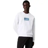 Calvin Klein Gradient Logo Hættetrøje