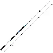 Mitchell Avocet Salt Spinnestang