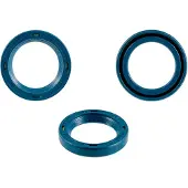 Rms Classic Piaggio Vespa Px 125-150-200cc 100663010 Krumtapakslens Oliestempler 10 Enheder