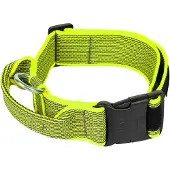JULIUS K-9 Collar 40 Mm Hundehalsbånd