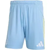 Adidas Juventus 25/26 Away Shorts, størrelse Large