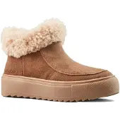 Cougar Shoes Amour Suede Sko
