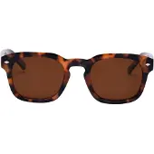 I-sea Blair 2.0 Polariserede Solbriller