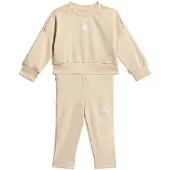 Adidas Seasonals Sweat Sæt