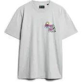 Superdry Superdrytil mænd. M1011907A Neon Travel løs t-shirt grå (XXL), Casual, Bomuld, Korte ærmer