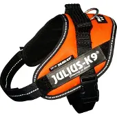 JULIUS K-9 Idc Power Mini Hundeseletøj