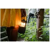 Pure Woodland Glow Bluetooth-højttaler
