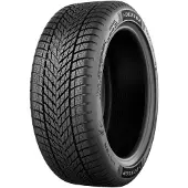 Dunlop Winter