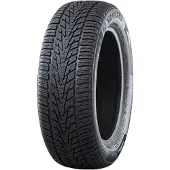 Nankang Winter Activa 4