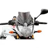 Bullster Yamaha Fz8n Racing Forrude