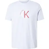 Calvin Klein Jeans 30s 2 Tone T-shirt Med Korte ærmer