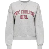 ONLY Sweatshirt 'ONLJo' lysegrå / mørkerød / sølv