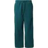 Hollister Bukser smaragd / hvid