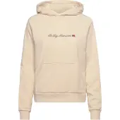 Helly Hansen Core Graphic Hættetrøje