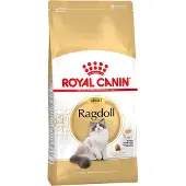 Royal Canin Ragdoll Adult - 2Kg