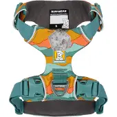 Ruffwear Front Range Harness - XXS - Spring Mountains
