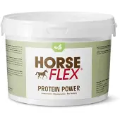 HorseFlex Protein Power - 2,5 kg