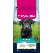 Eukanuba Adult Large Breed, Frisk Kylling, 15kg
