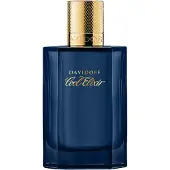 Davidoff Cool Water Elixir 100ml Eau De Parfum