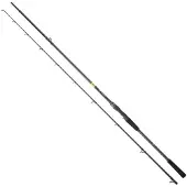 Daiwa Prorex E Pike Distance I Baitcastingstang