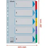 Esselte Register Mylar A4 1-5 flerfarvet
