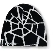 Spyder Reversible Web Beanie