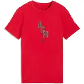 Puma Milan T-Shirt FtblCulture - Rød - , størrelse 140 cm
