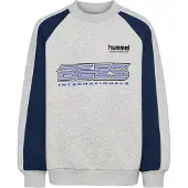 Hummel Oversized Iconic Crew Bees Sweatshirt