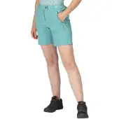 Regatta Mountain Ii Shorts